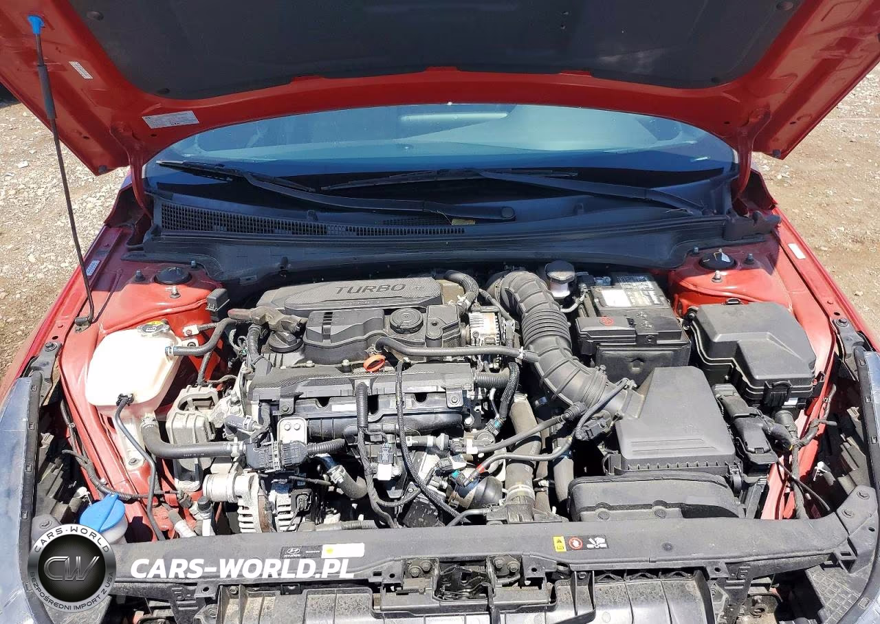2021 Hyundai Elantra N Line VIN:KMHLR4AF3MU190268 - 11
