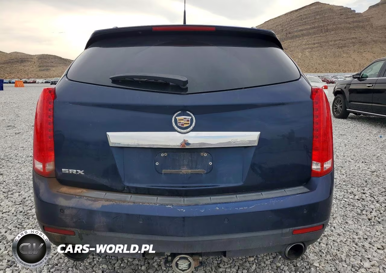 2010 Cadillac Srx Luxury Collection VIN:3GYFNAEY6AS633204 - 6