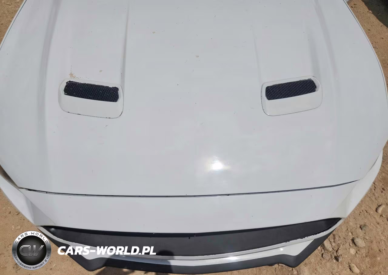 2020 Ford Mustang Gt VIN:1FA6P8CF4L5180732 - 11