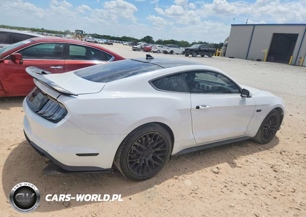 2020 Ford Mustang Gt VIN:1FA6P8CF4L5180732 - 3