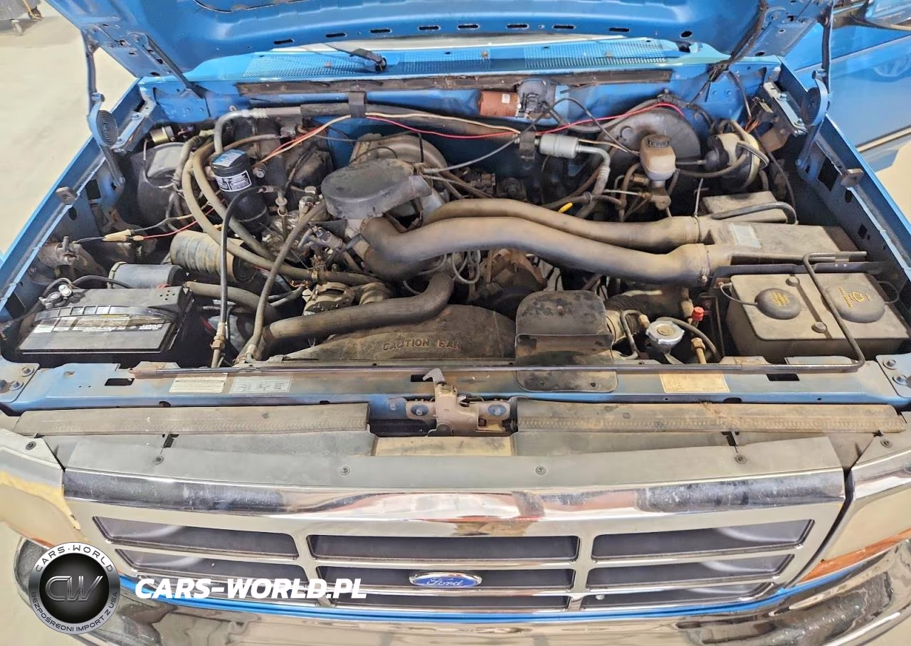 1992 Ford F150 VIN:1FTEX15N3NKA21528 - 11