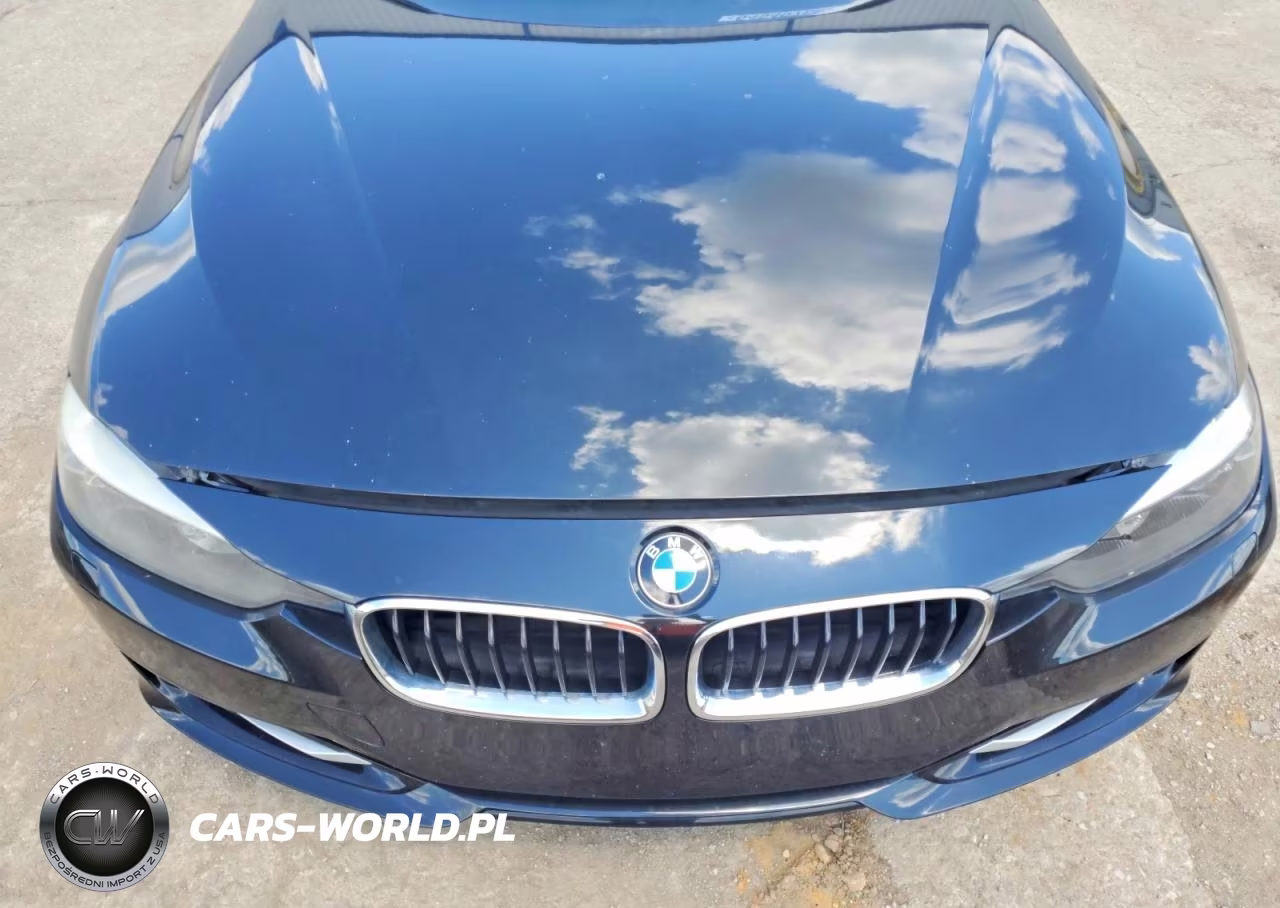 2013 BMW 328 Xi Sulev VIN:WBA3B5G58DNS03696 - 11