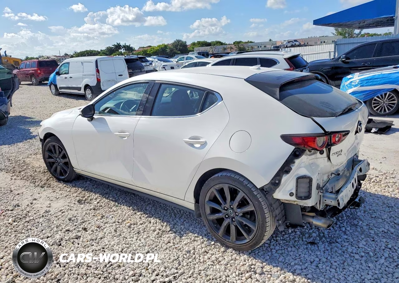 2019 Mazda 3 Premium VIN:JM1BPBNM3K1124207 - 2