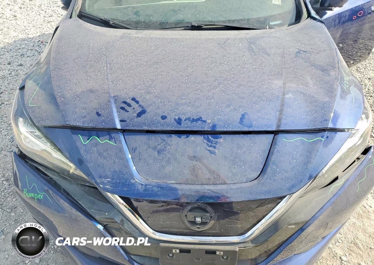 2019 Nissan Leaf Sl VIN:1N4AZ1CP8KC306668 - 11