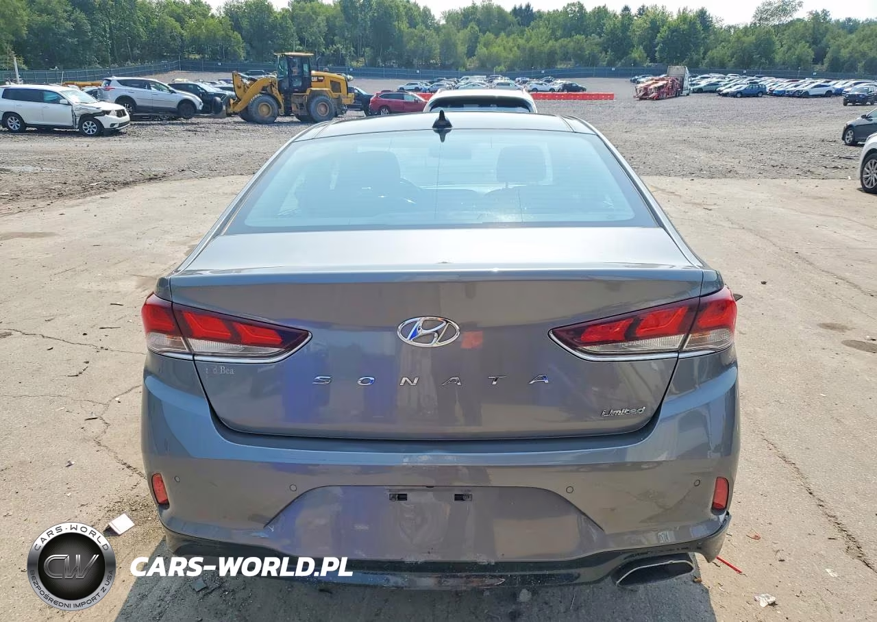 2018 Hyundai Sonata Limited VIN:5NPE34AF0JH709510 - 6