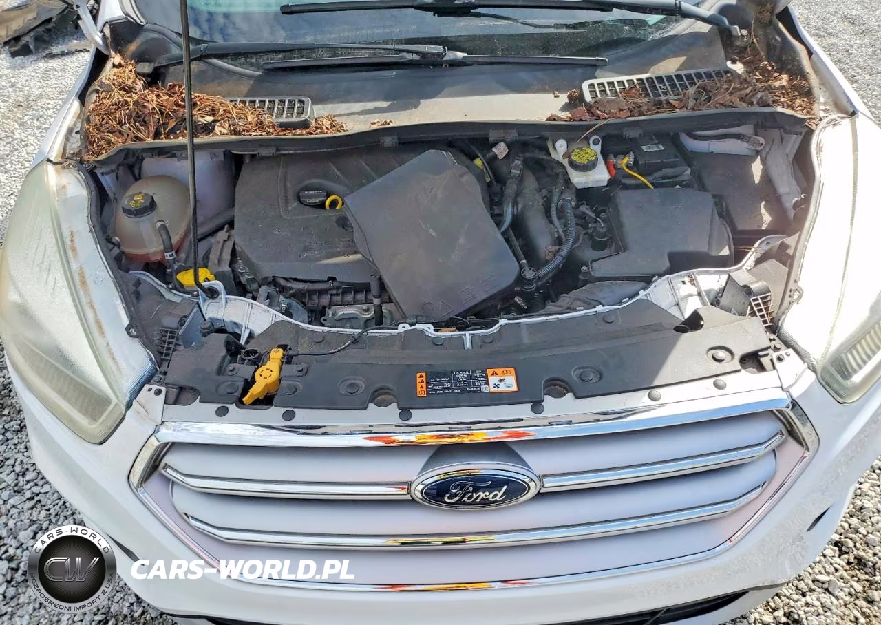 2017 Ford Escape Se VIN:1FMCU9GD5HUA35129 - 12