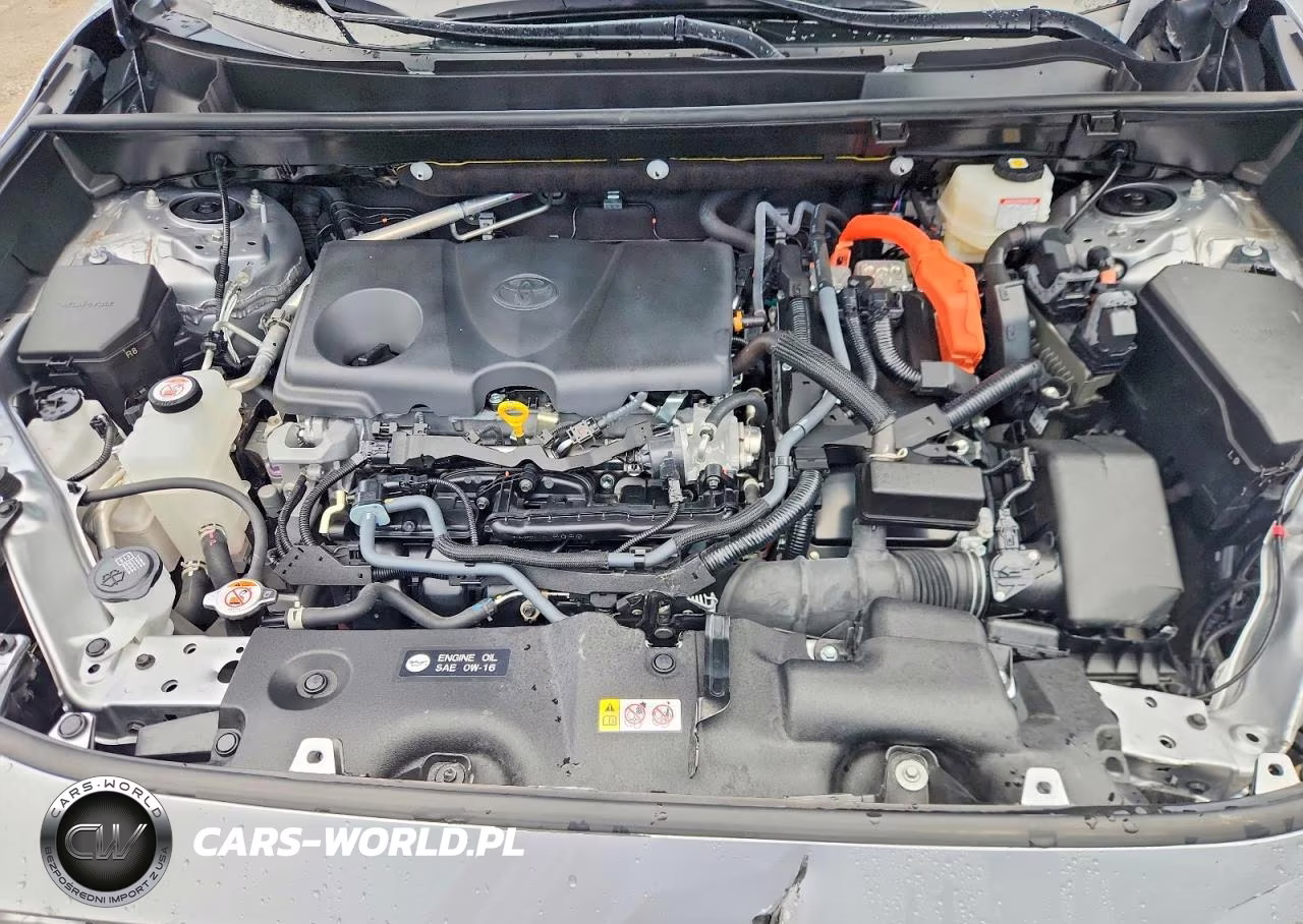 2025 Toyota Rav4 Hybrid Xle VIN:JTMRWRFV8SJ066385 - 12