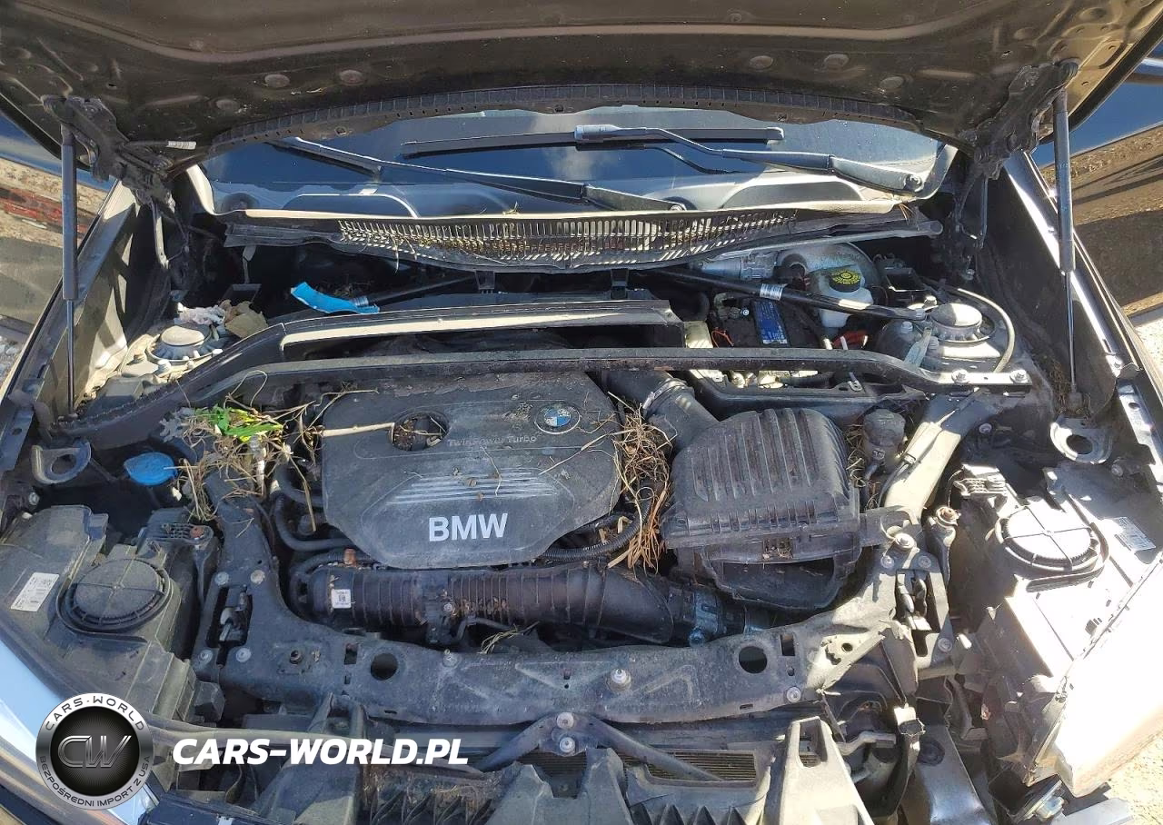 2019 BMW X1 Sdrive28I VIN:WBXHU7C52K5L10618 - 12