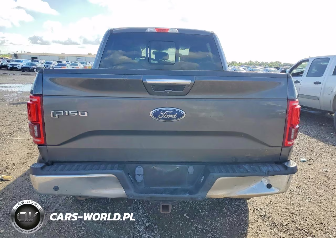 2017 Ford F150 Supercrew VIN:1FTEW1EG5HKD16784 - 6