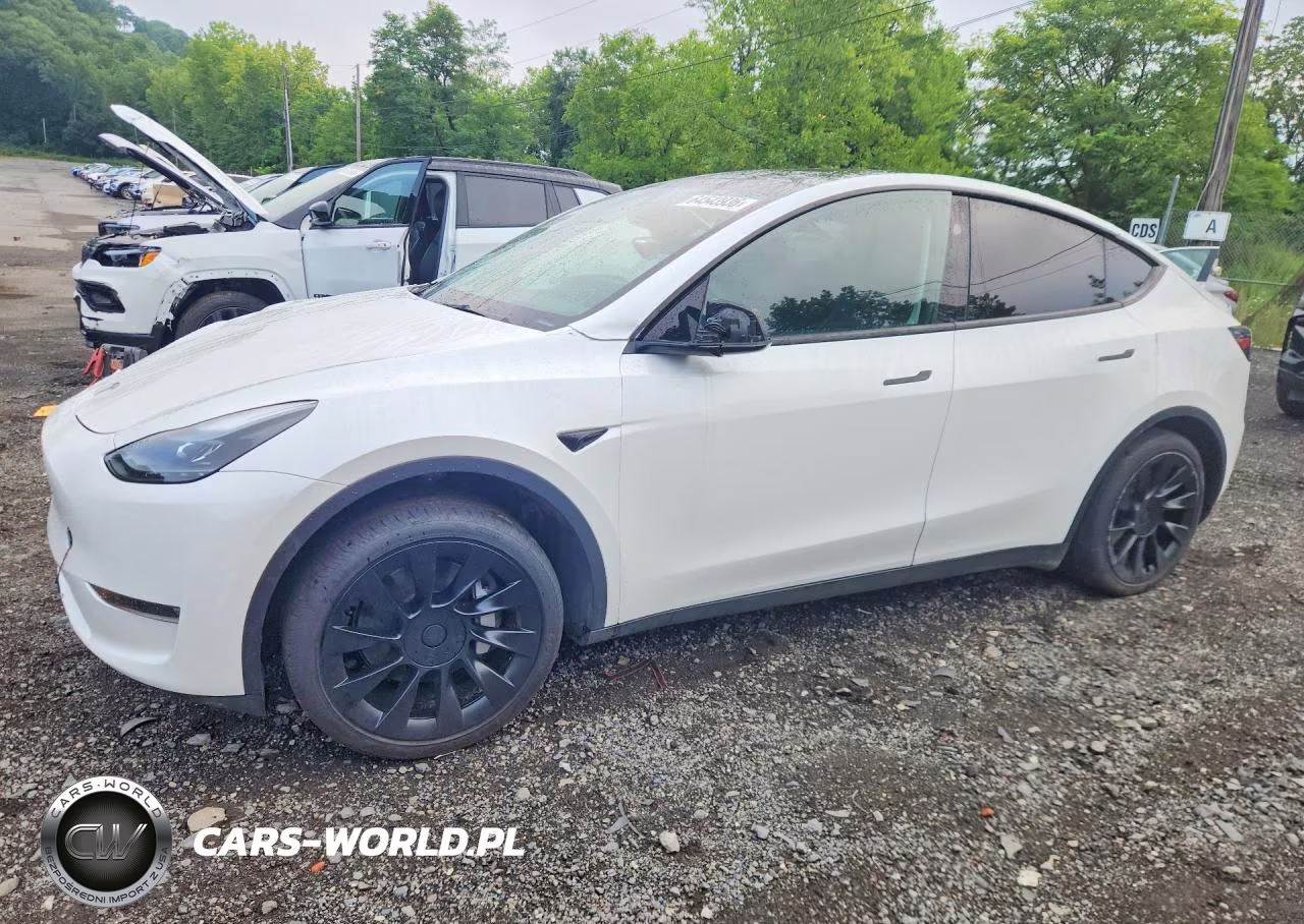 2023 Tesla Model Y – zdjęcie 1 z 12