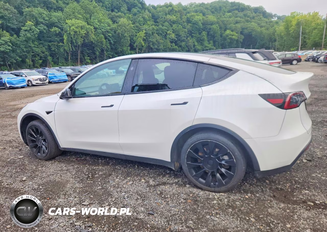 2023 Tesla Model Y VIN:7SAYGDEE7PF896256 - 2