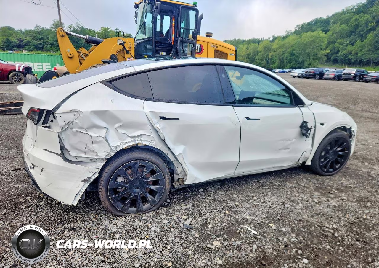 2023 Tesla Model Y VIN:7SAYGDEE7PF896256 - 3