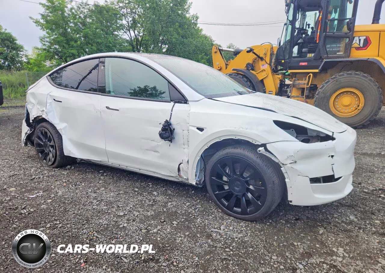 2023 Tesla Model Y VIN:7SAYGDEE7PF896256 - 4