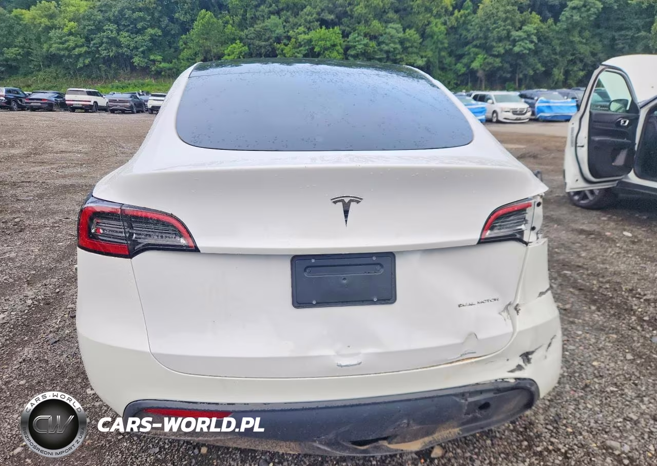 2023 Tesla Model Y VIN:7SAYGDEE7PF896256 - 6