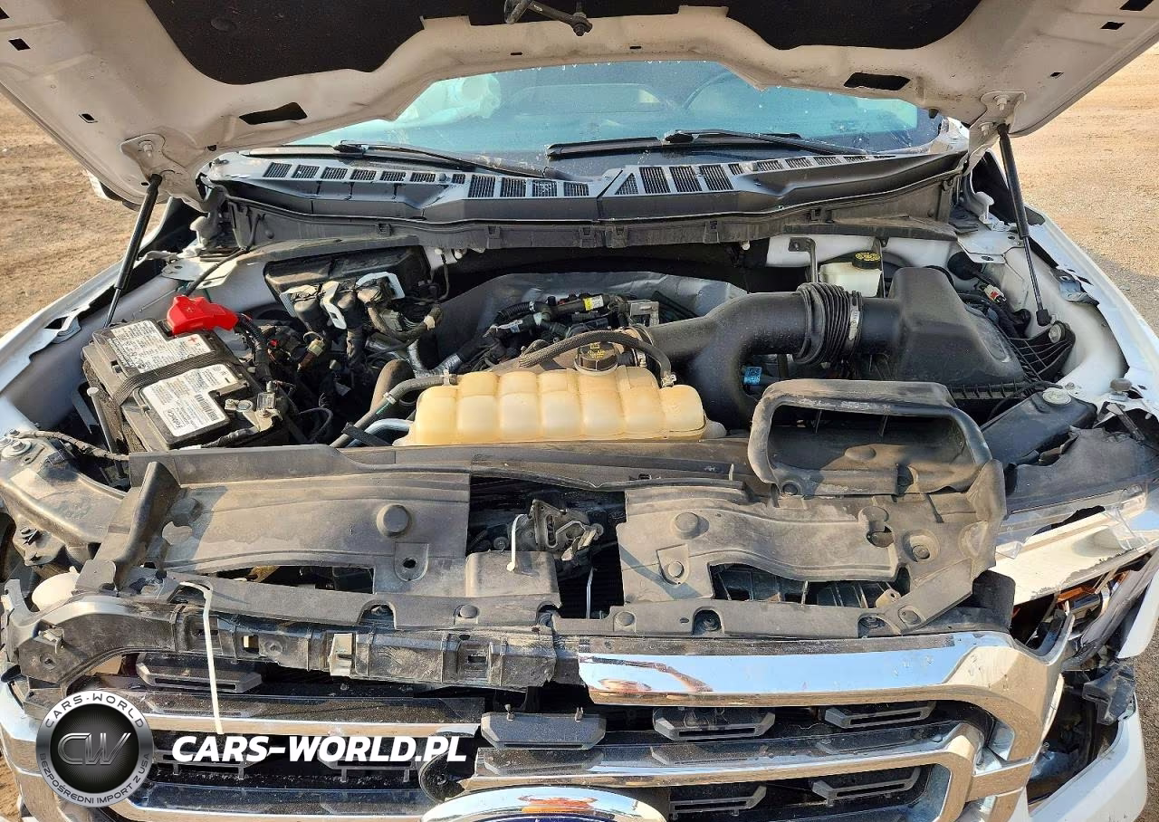 2021 Ford F150 Supercrew VIN:1FTEW1EP5MFB85942 - 11