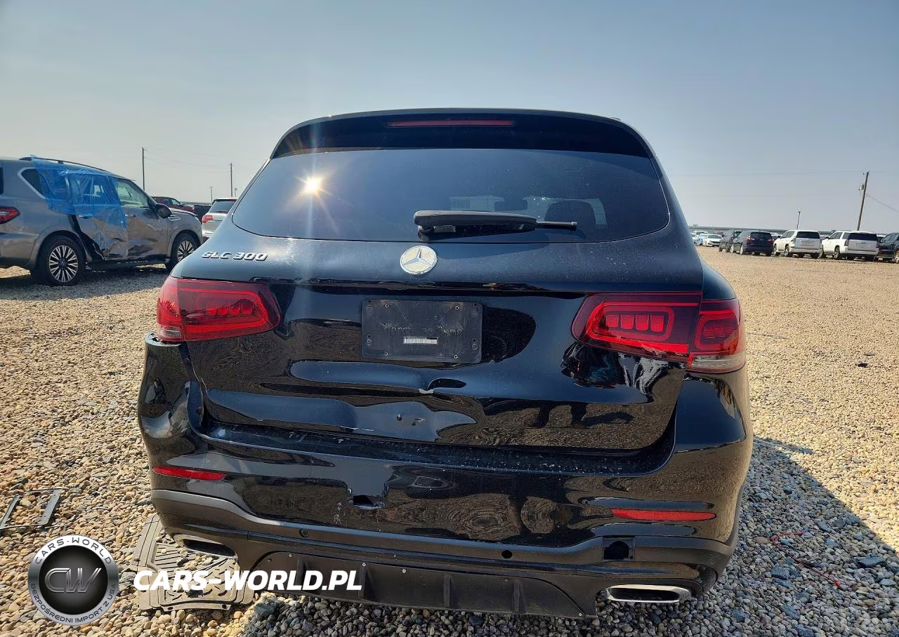 2021 Mercedes-Benz Glc 300 VIN:W1N0G8DB8MV296666 - 6