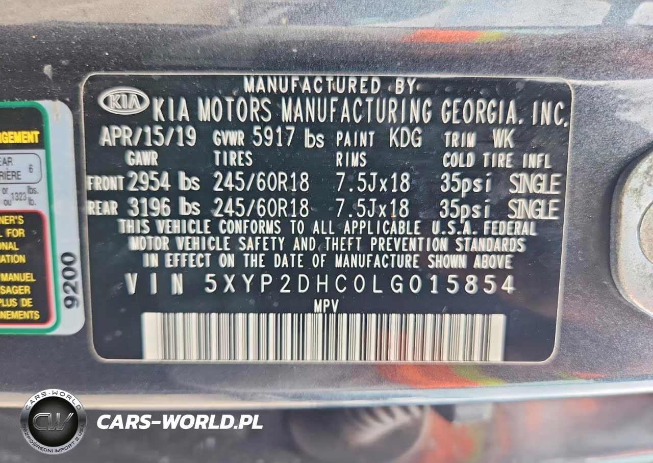 2020 Kia Telluride Lx VIN:5XYP2DHC0LG015854 - 12