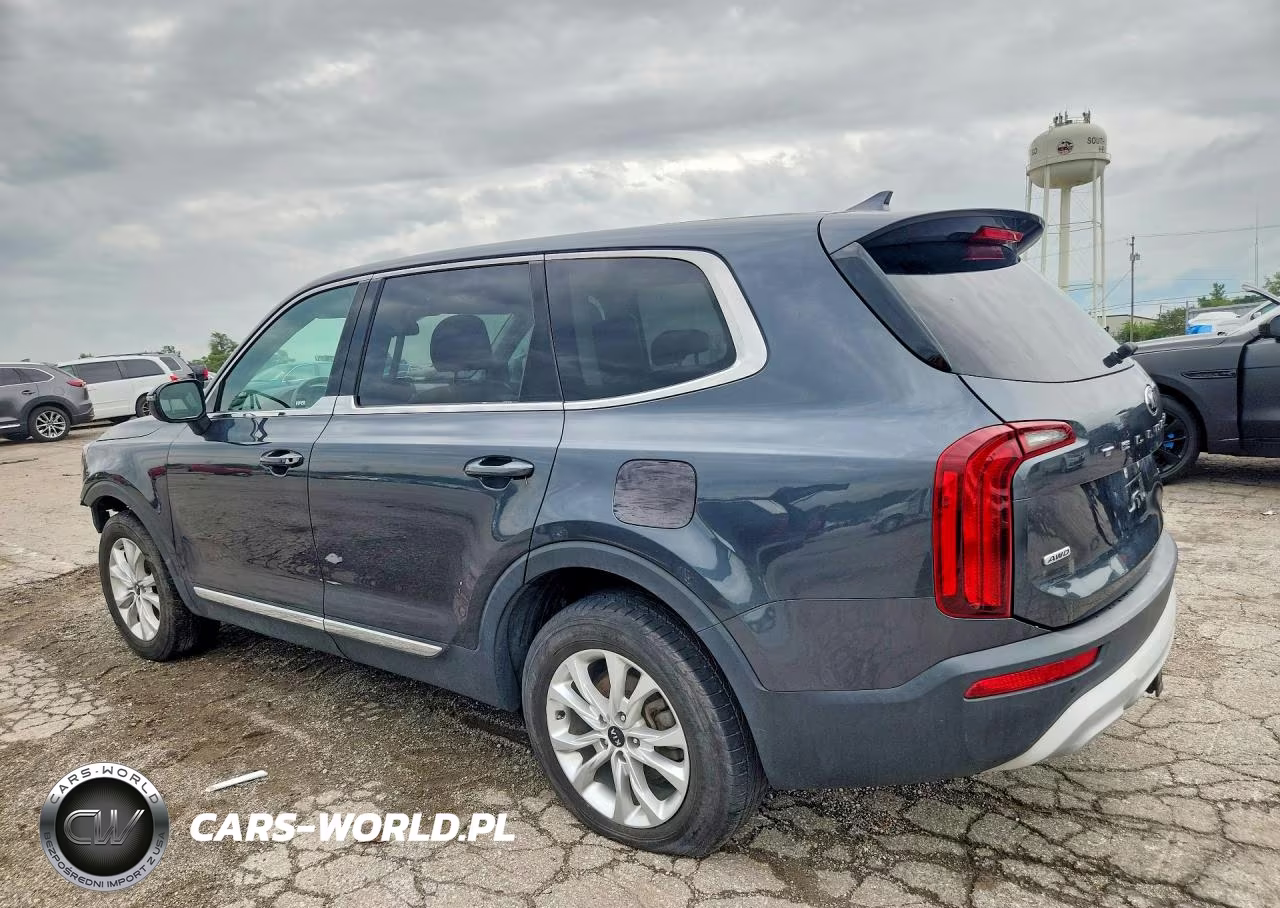 2020 Kia Telluride Lx VIN:5XYP2DHC0LG015854 - 2