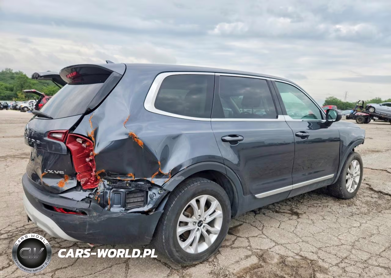 2020 Kia Telluride Lx VIN:5XYP2DHC0LG015854 - 3