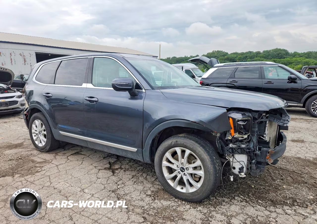 2020 Kia Telluride Lx VIN:5XYP2DHC0LG015854 - 4
