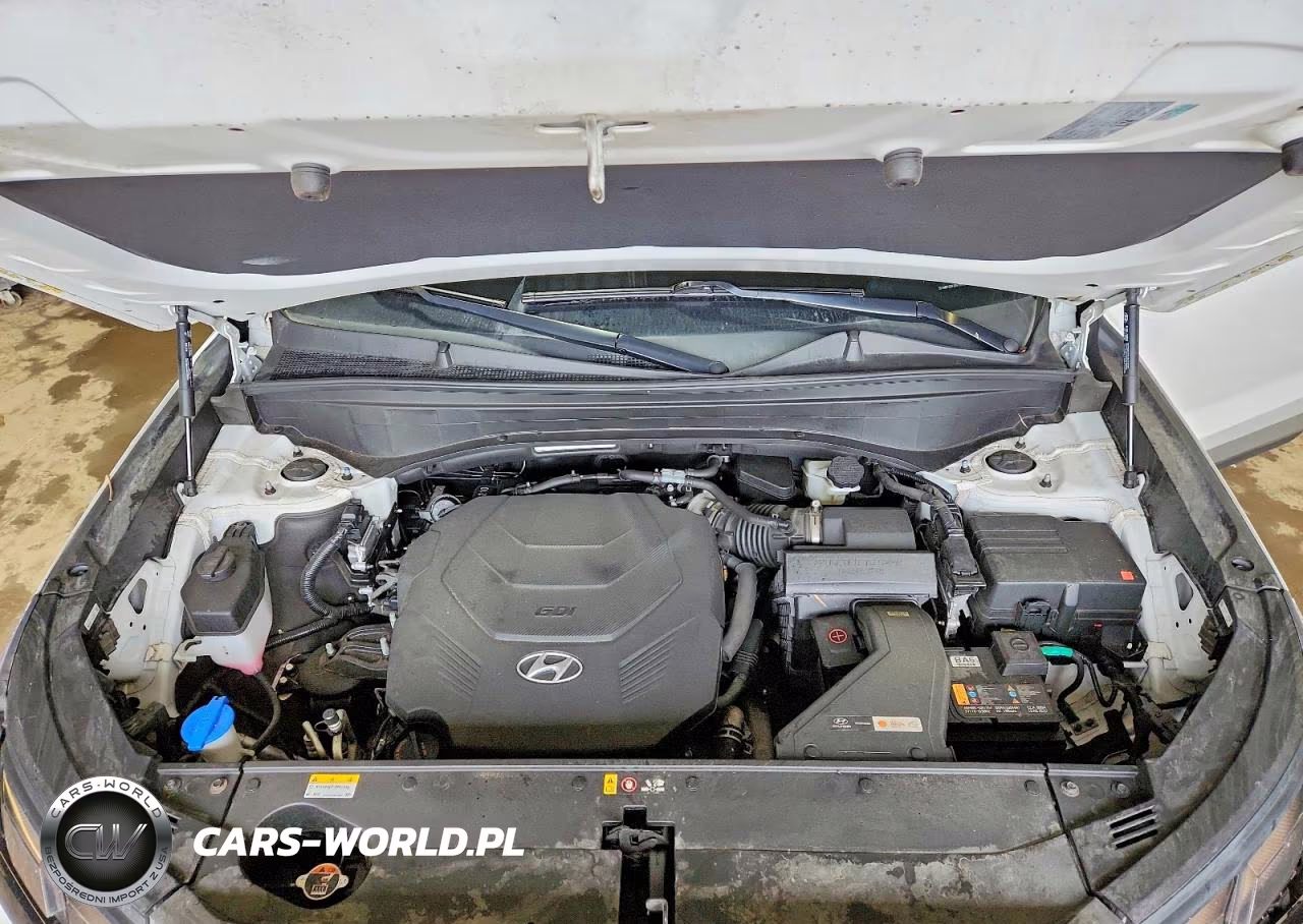 2024 Hyundai Palisade Sel VIN:KM8R2DGE6RU736632 - 12
