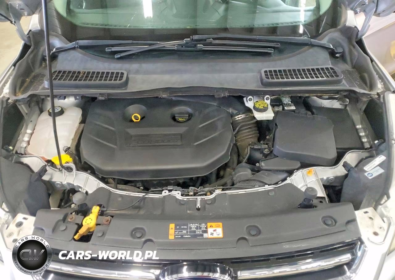 2013 Ford Escape Sel VIN:1FMCU9H9XDUC51093 - 12