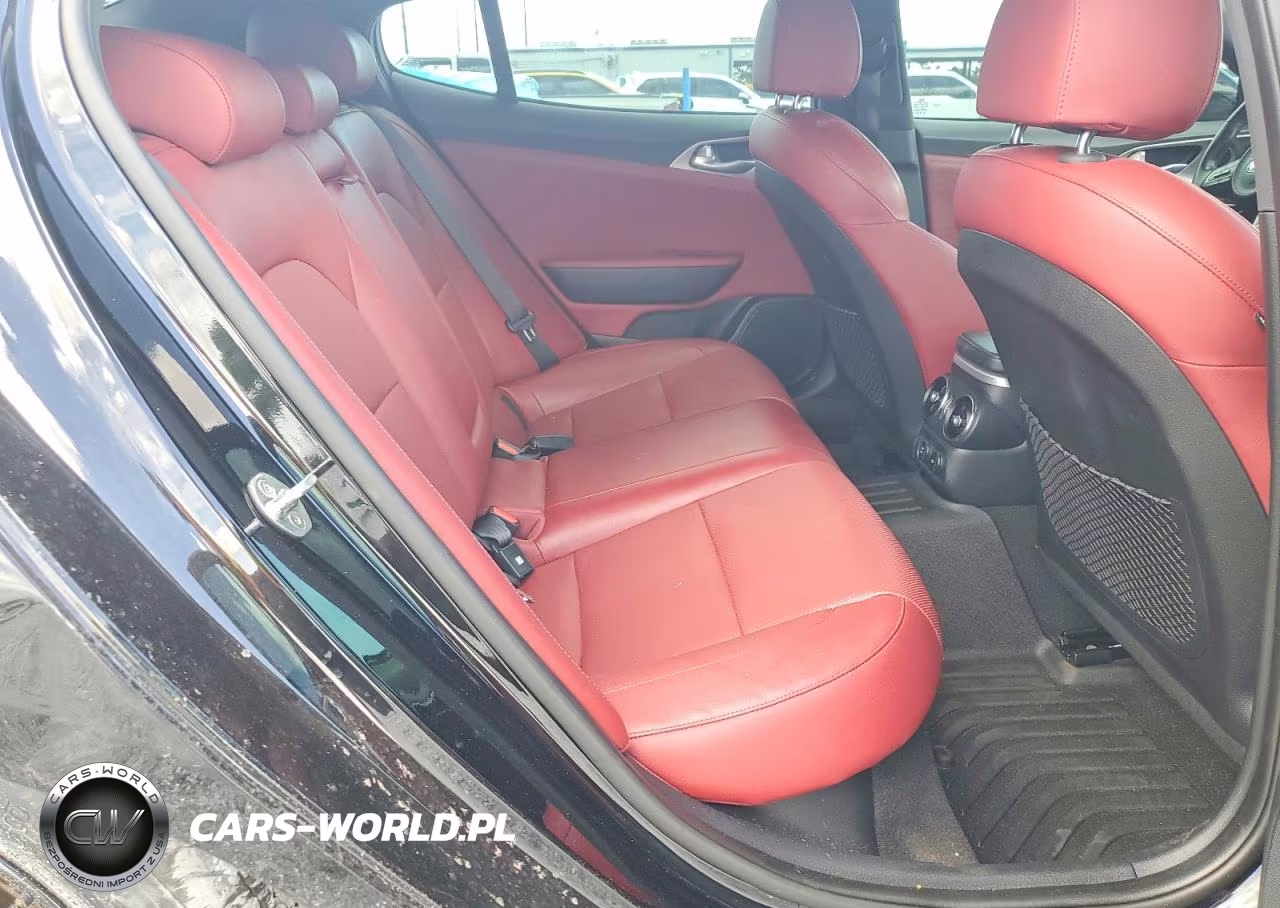 2019 Kia Stinger Gt VIN:KNAE35LC7K6051699 - 10