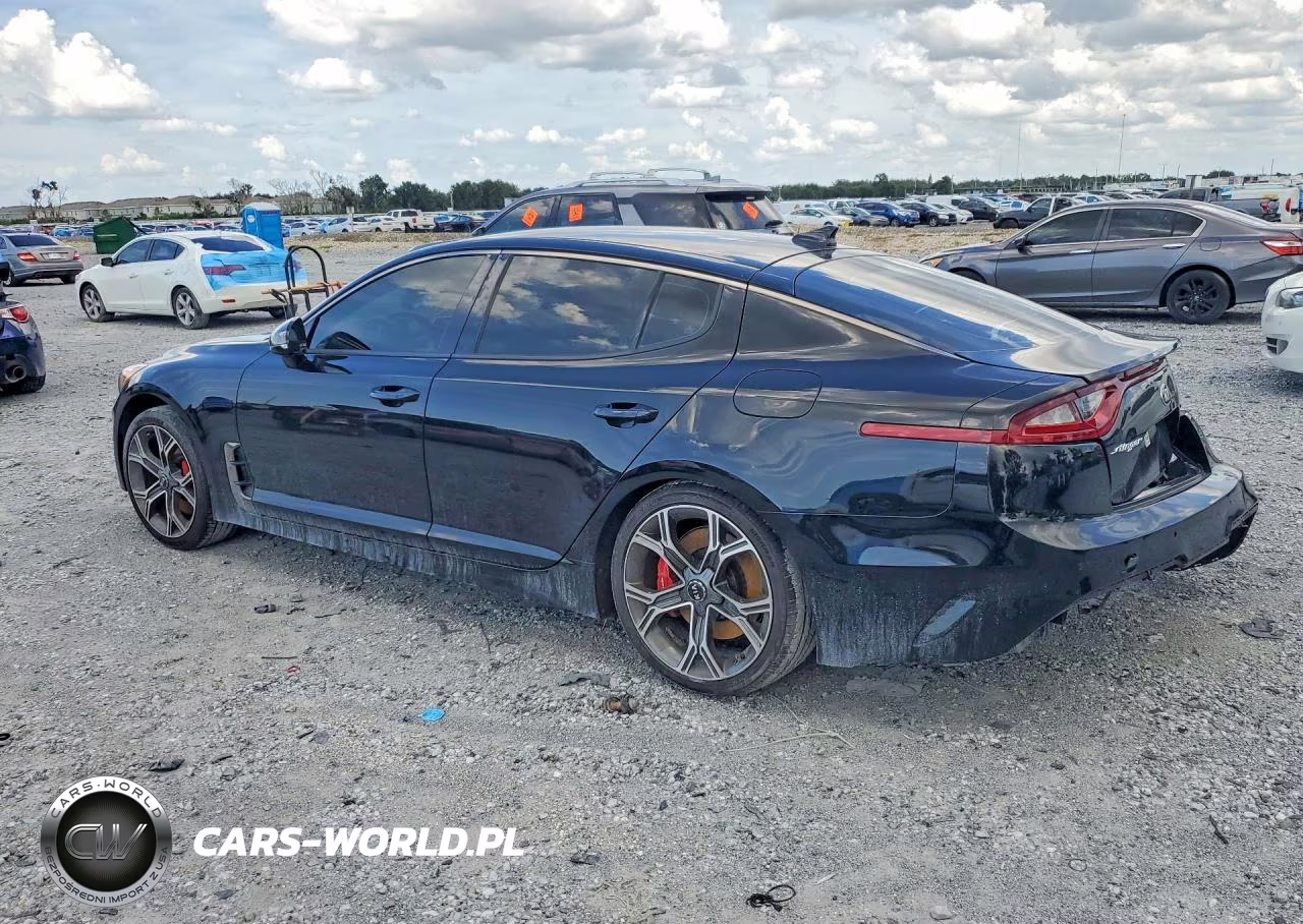 2019 Kia Stinger Gt VIN:KNAE35LC7K6051699 - 2