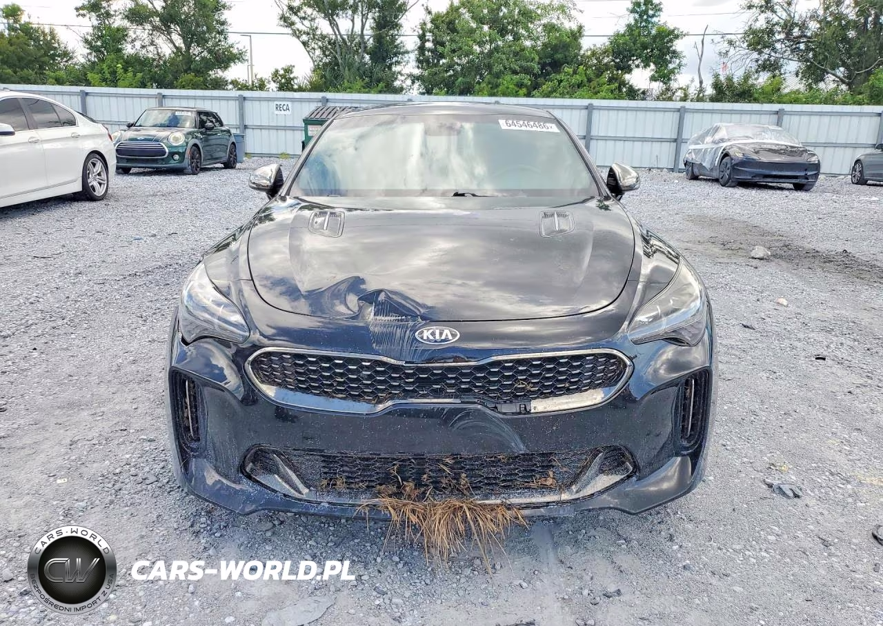 2019 Kia Stinger Gt VIN:KNAE35LC7K6051699 - 5