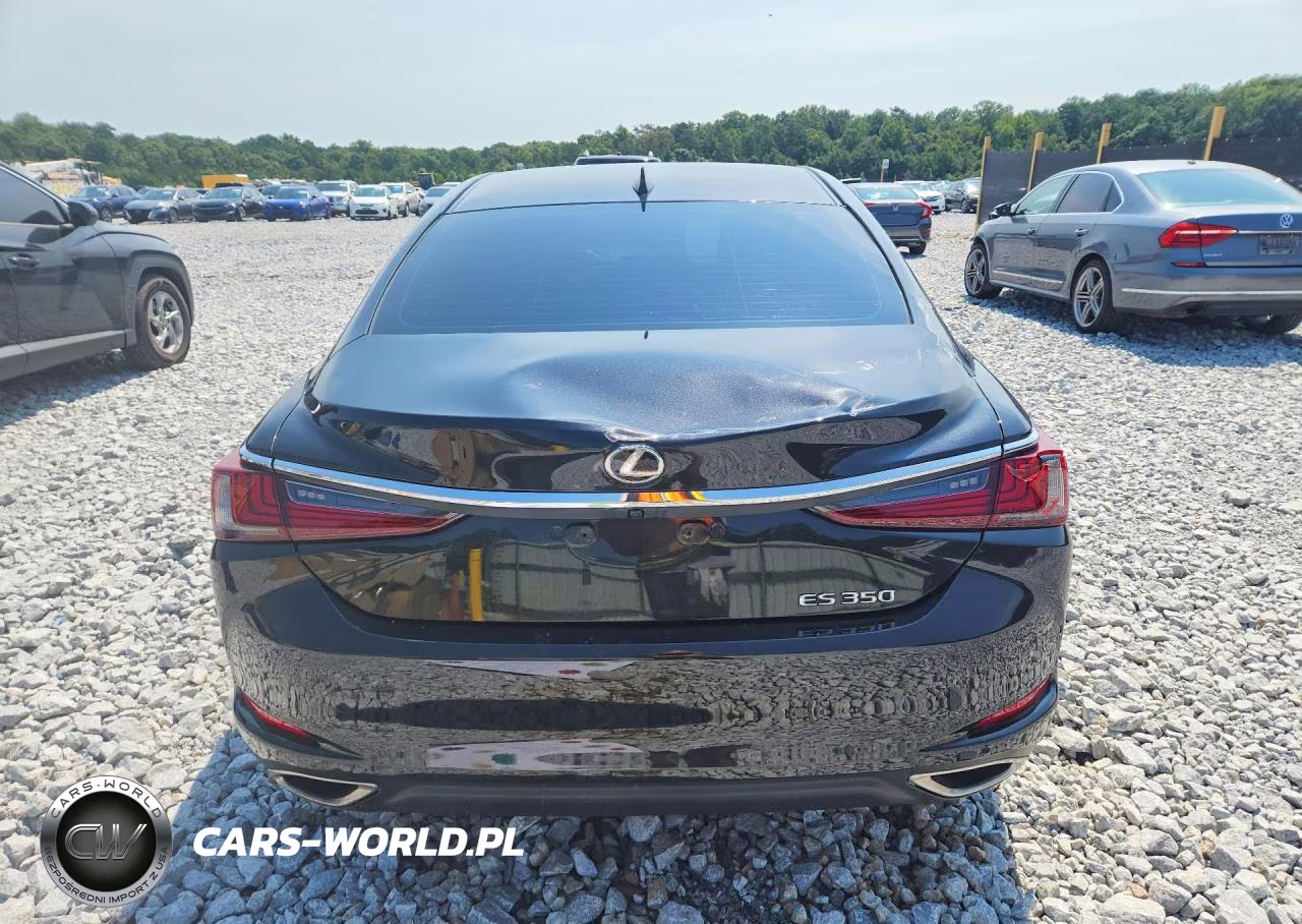 2023 Lexus Es 350 Base VIN:58ACZ1B18PU143896 - 6