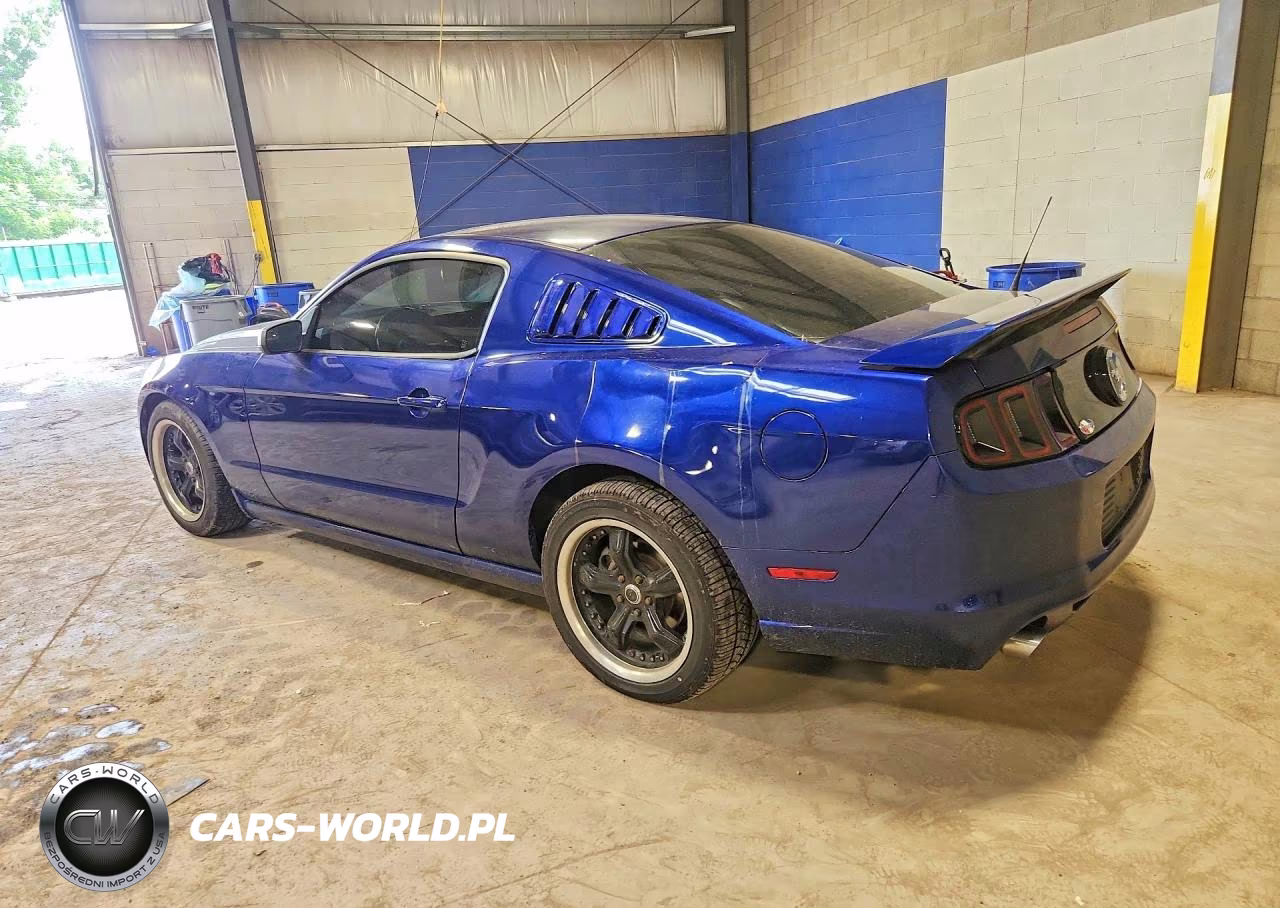 2014 Ford Mustang VIN:1ZVBP8AM3E5225640 - 2