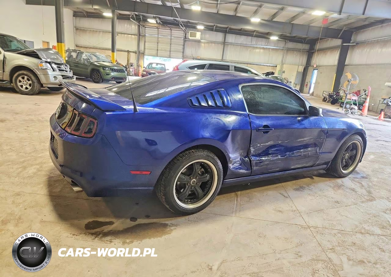 2014 Ford Mustang VIN:1ZVBP8AM3E5225640 - 3