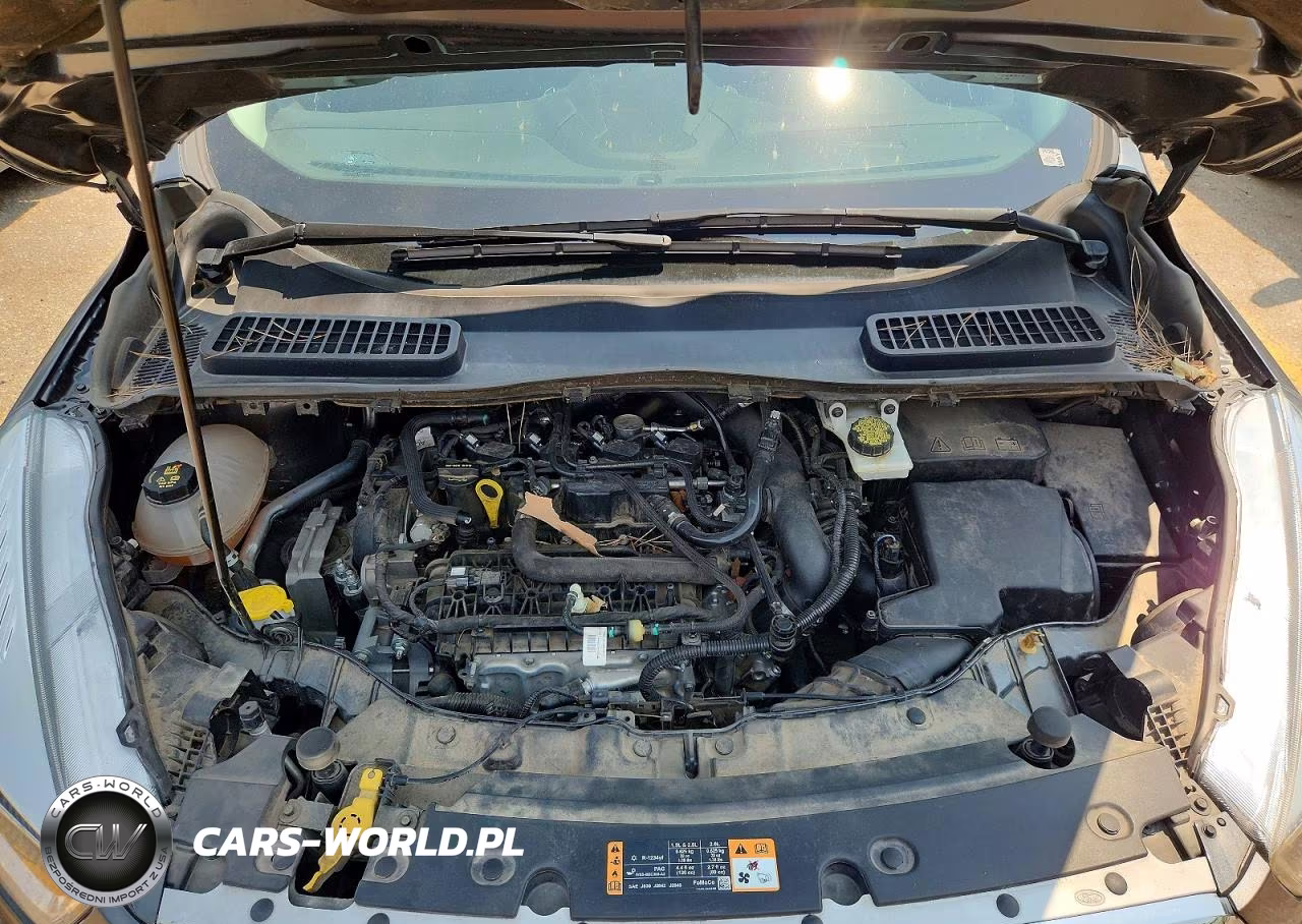 2019 Ford Escape Se VIN:1FMCU0GDXKUC07464 - 12