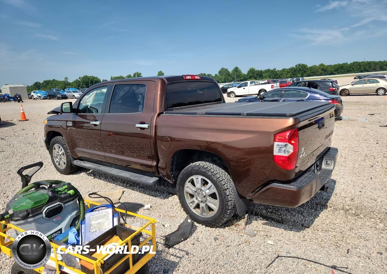 2015 Toyota Tundra 1794 Edition VIN:5TFAY5F19FX416459 - 3
