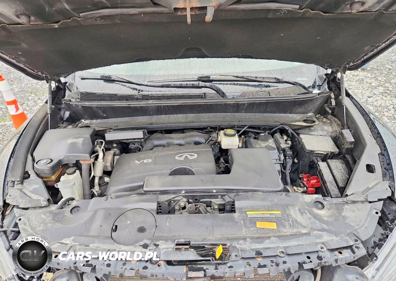 2020 Infiniti Qx60 Pure VIN:5N1DL0MM7LC509605 - 12
