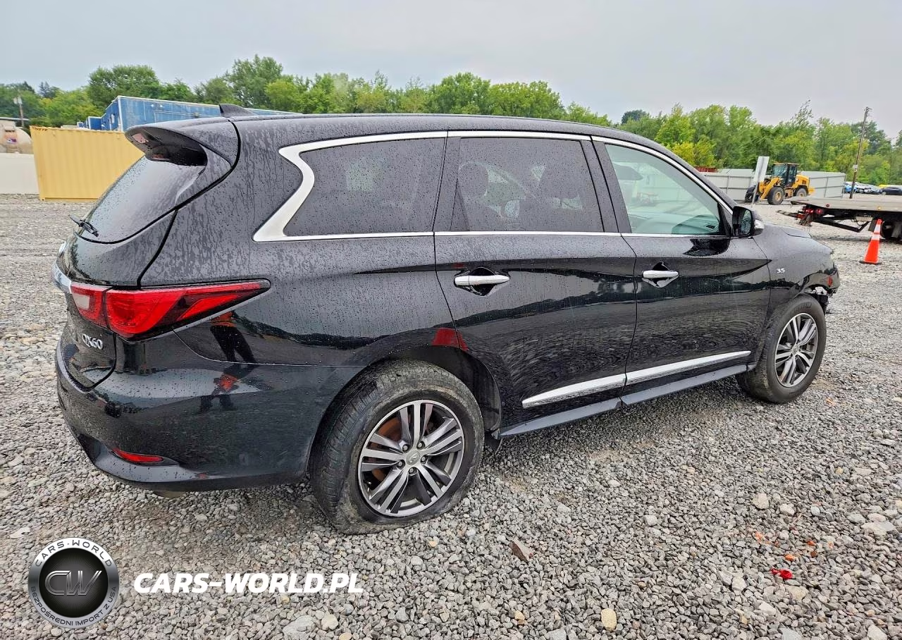 2020 Infiniti Qx60 Pure VIN:5N1DL0MM7LC509605 - 3