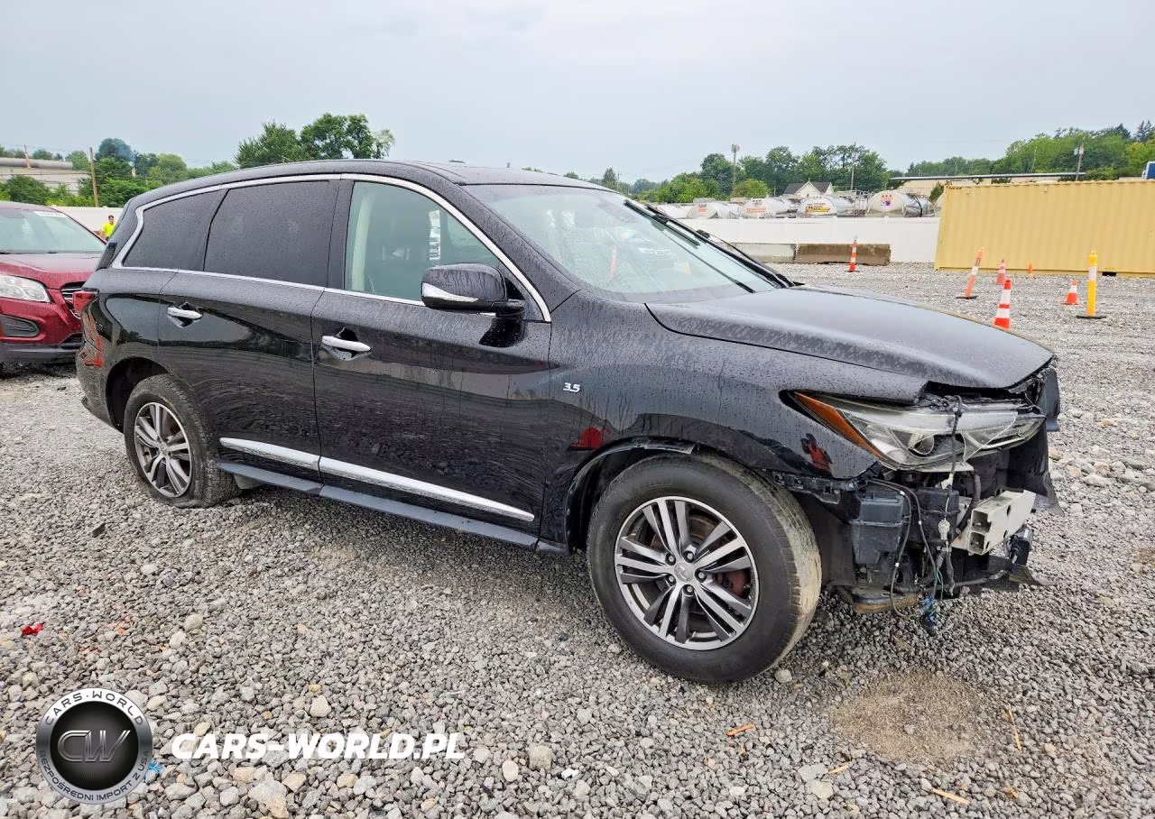 2020 Infiniti Qx60 Pure VIN:5N1DL0MM7LC509605 - 4