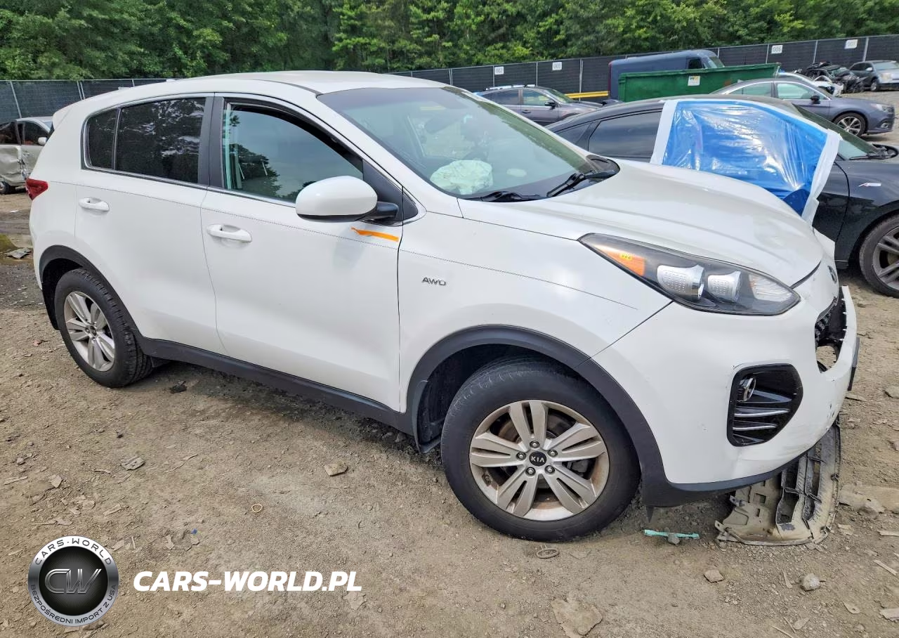 2019 Kia Sportage Lx VIN:KNDPMCAC8K7575860 - 4