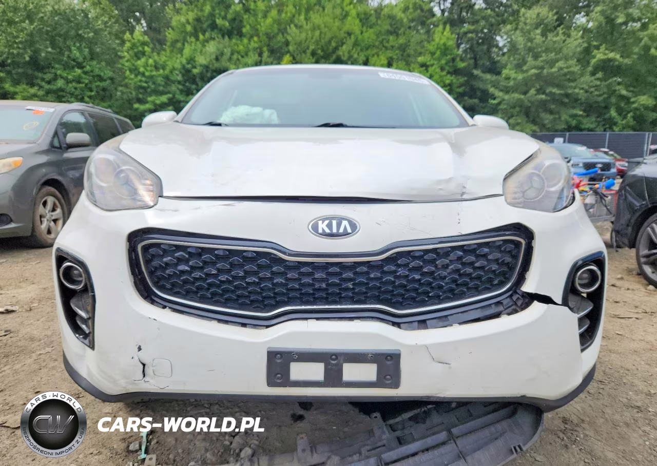 2019 Kia Sportage Lx VIN:KNDPMCAC8K7575860 - 5
