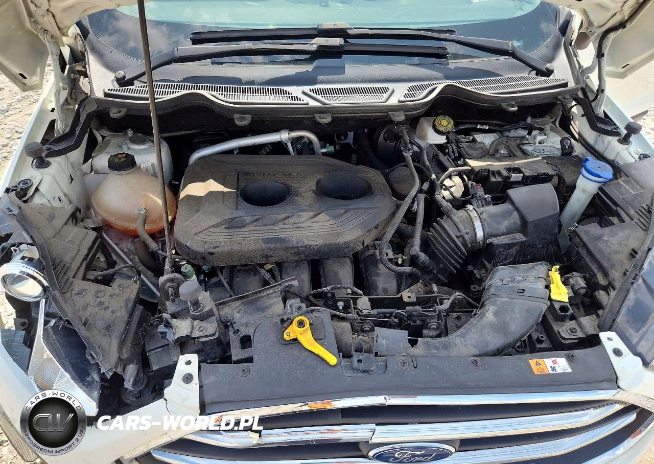 2020 Ford Ecosport Titanium VIN:MAJ6S3KL8LC362339 - 12