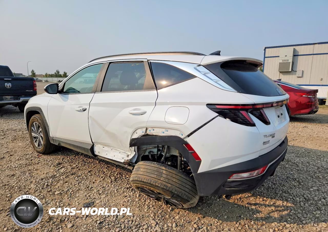 2022 Hyundai Tuson Blue VIN:KM8JBCA14NU051228 - 2