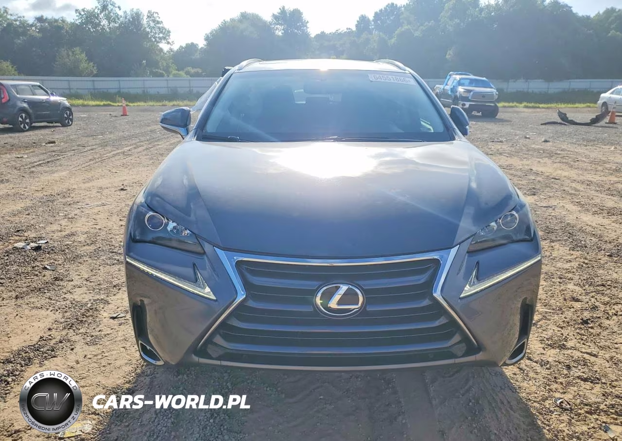 2015 Lexus Nx 200T VIN:JTJYARBZ2F2003086 - 5