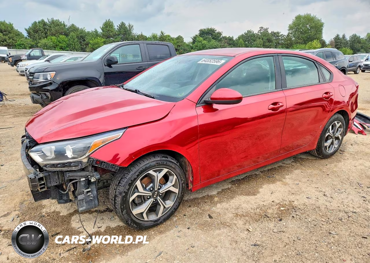 2019 Kia Forte Lxs