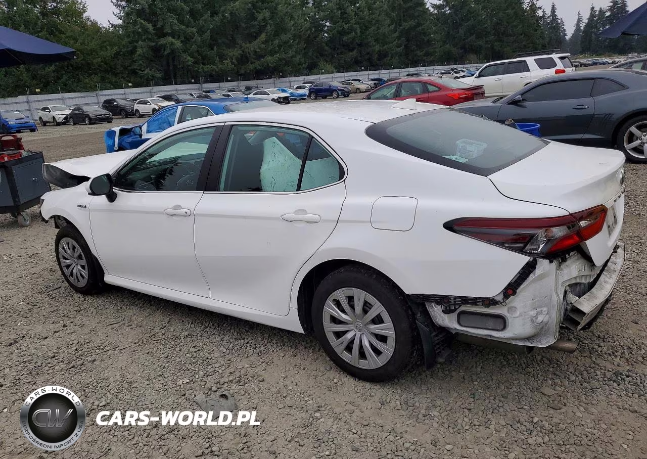 2021 Toyota Camry Le VIN:4T1C31AK6MU549982 - 2