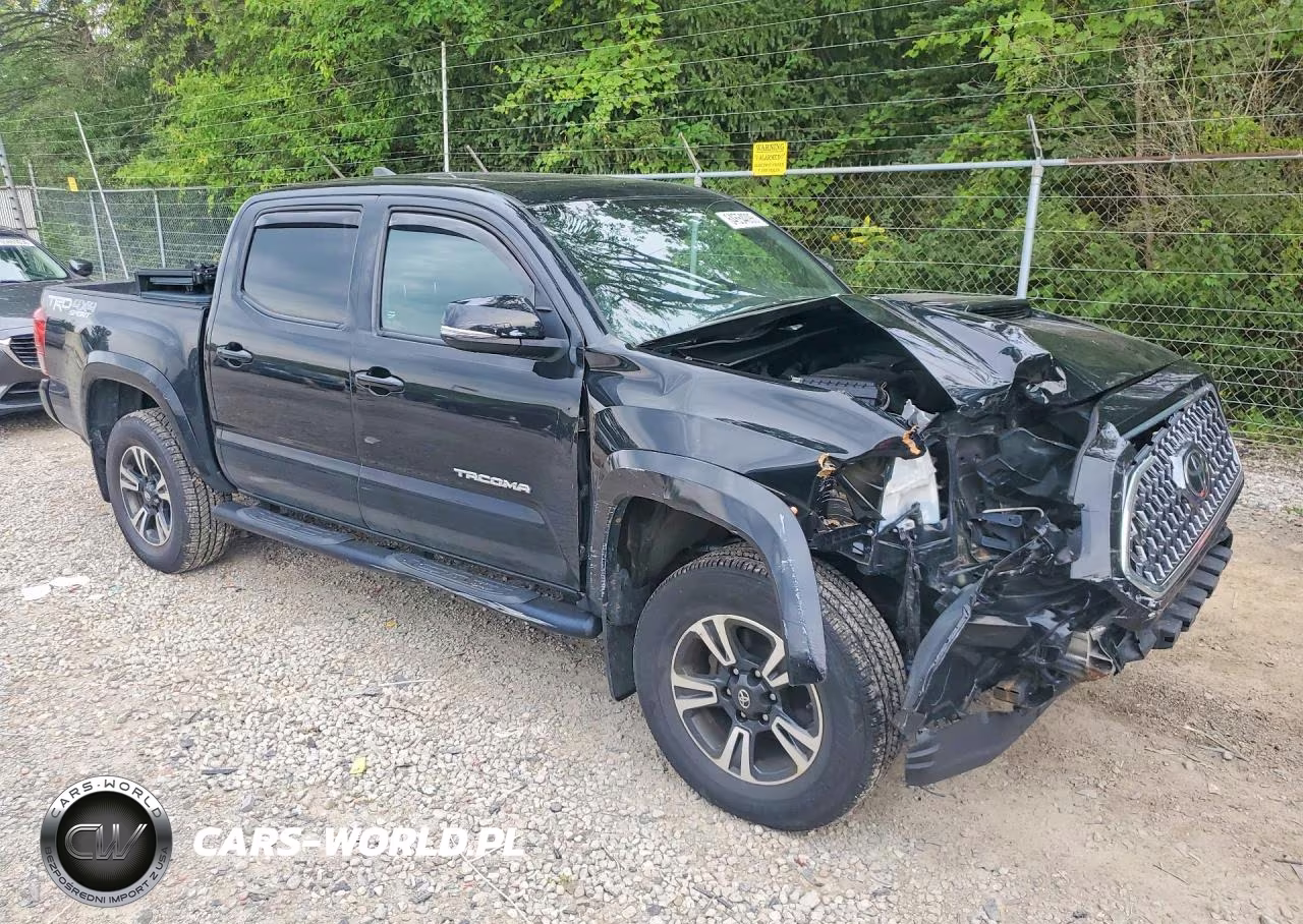 2019 Toyota Tacoma Trd Sport VIN:3TMCZ5AN3KM254716 - 4
