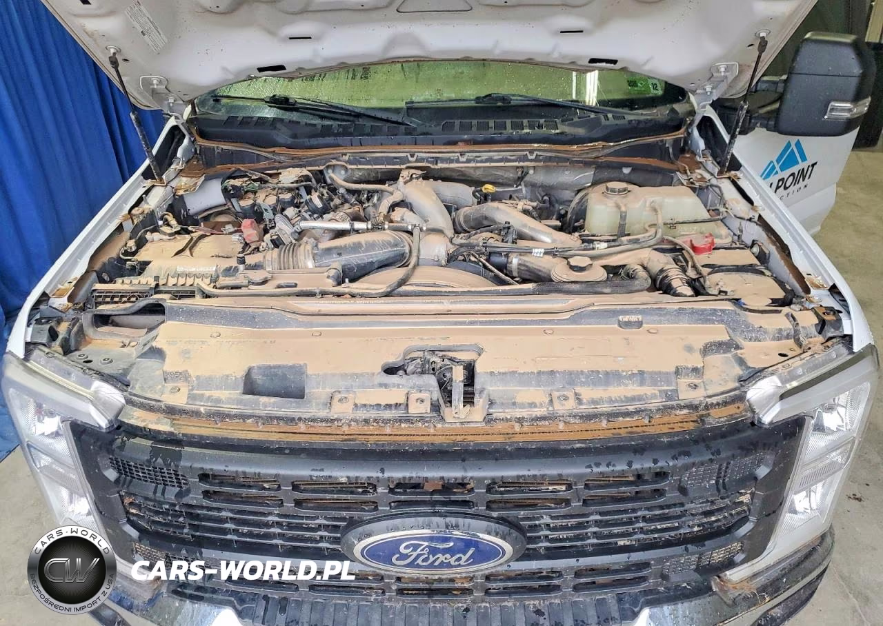 2023 Ford F250 Super Duty VIN:1FT7W2BT3PEC34503 - 11