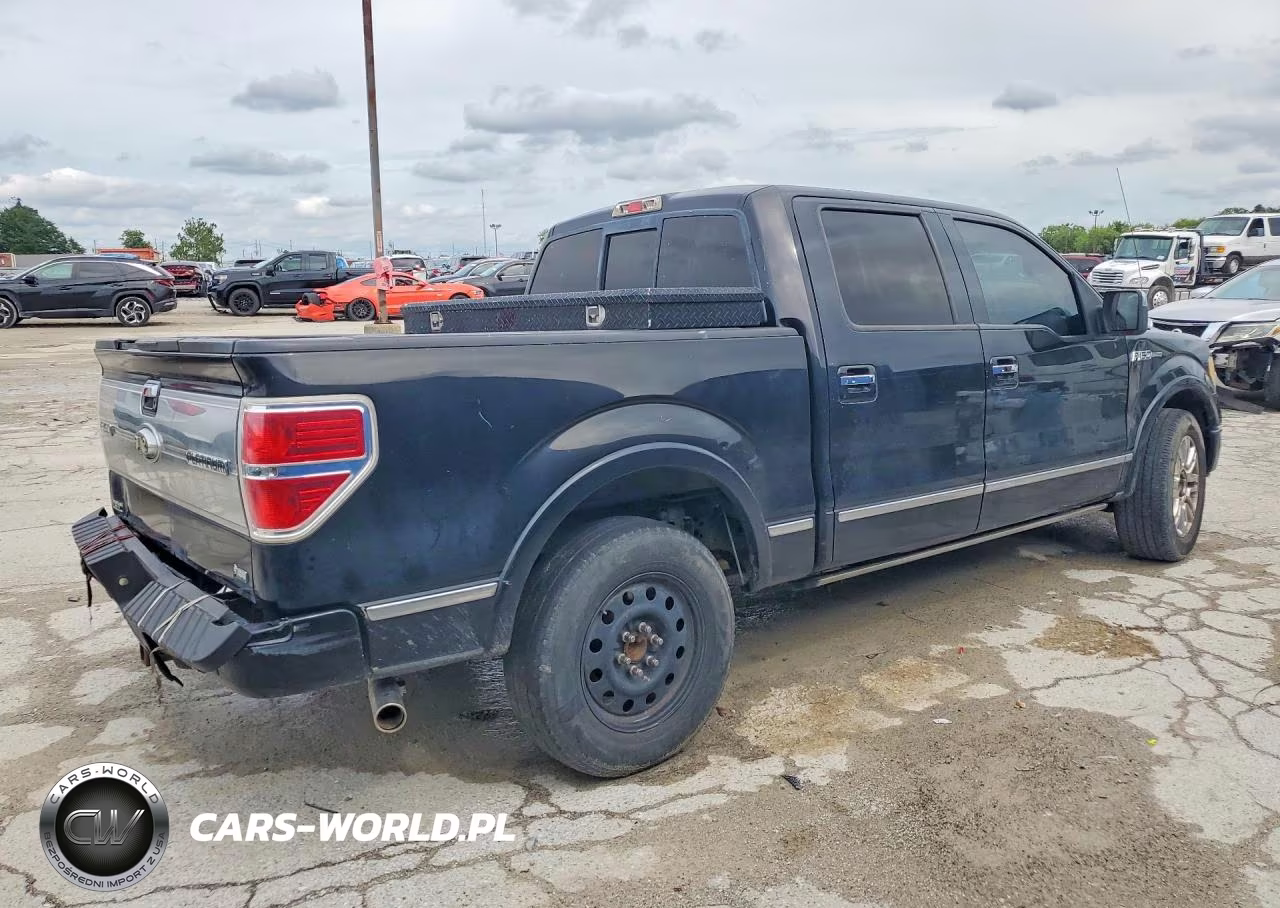 2010 Ford F150 Supercrew VIN:1FTFW1CV3AFD18084 - 3