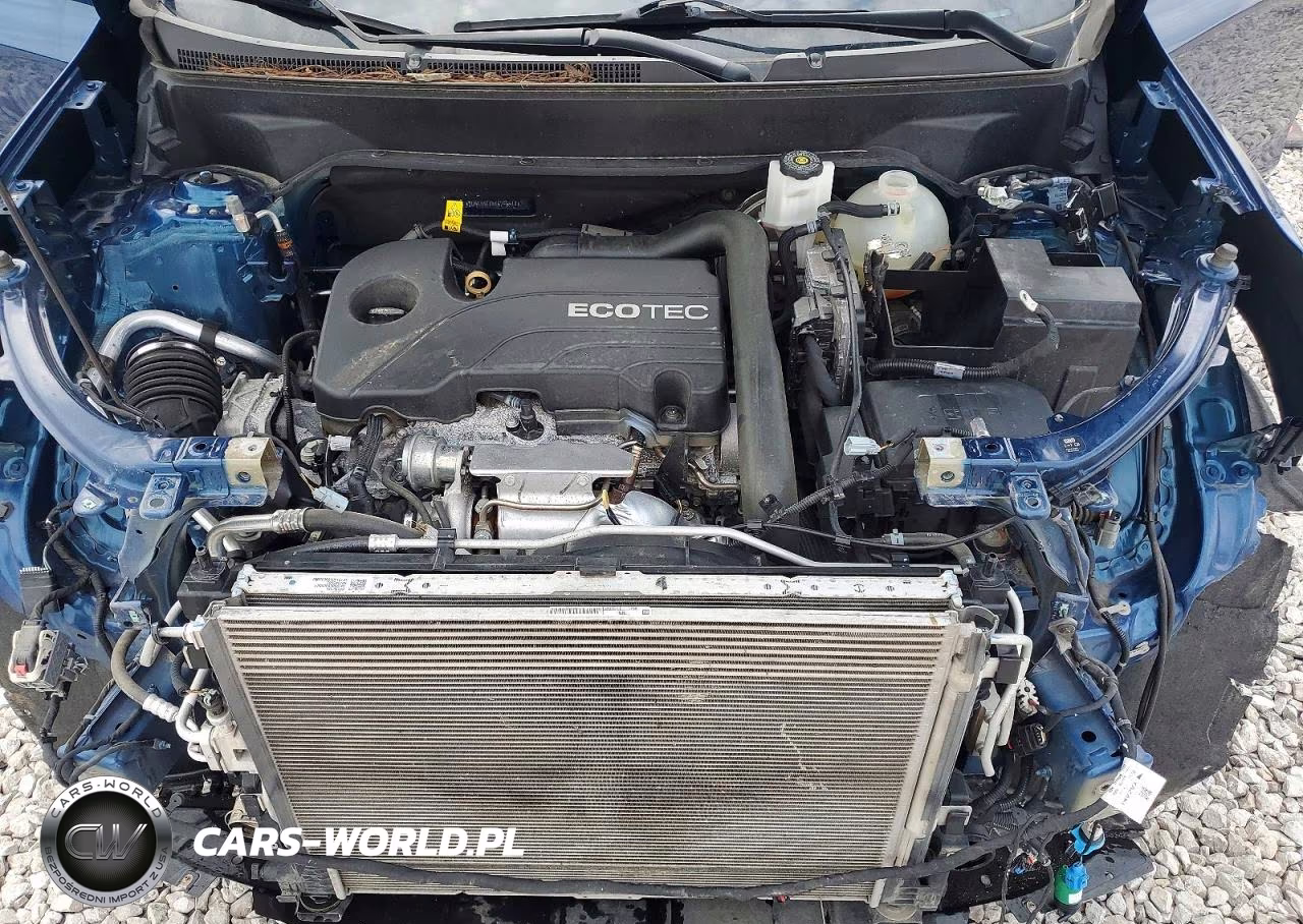 2019 Chevrolet Equinox Lt VIN:2GNAXKEV4K6296514 - 12