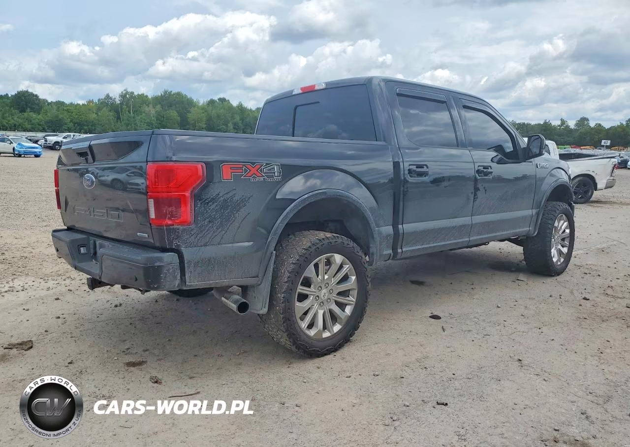 2019 Ford F150 Supercrew VIN:1FTEW1EP0KFB92231 - 3