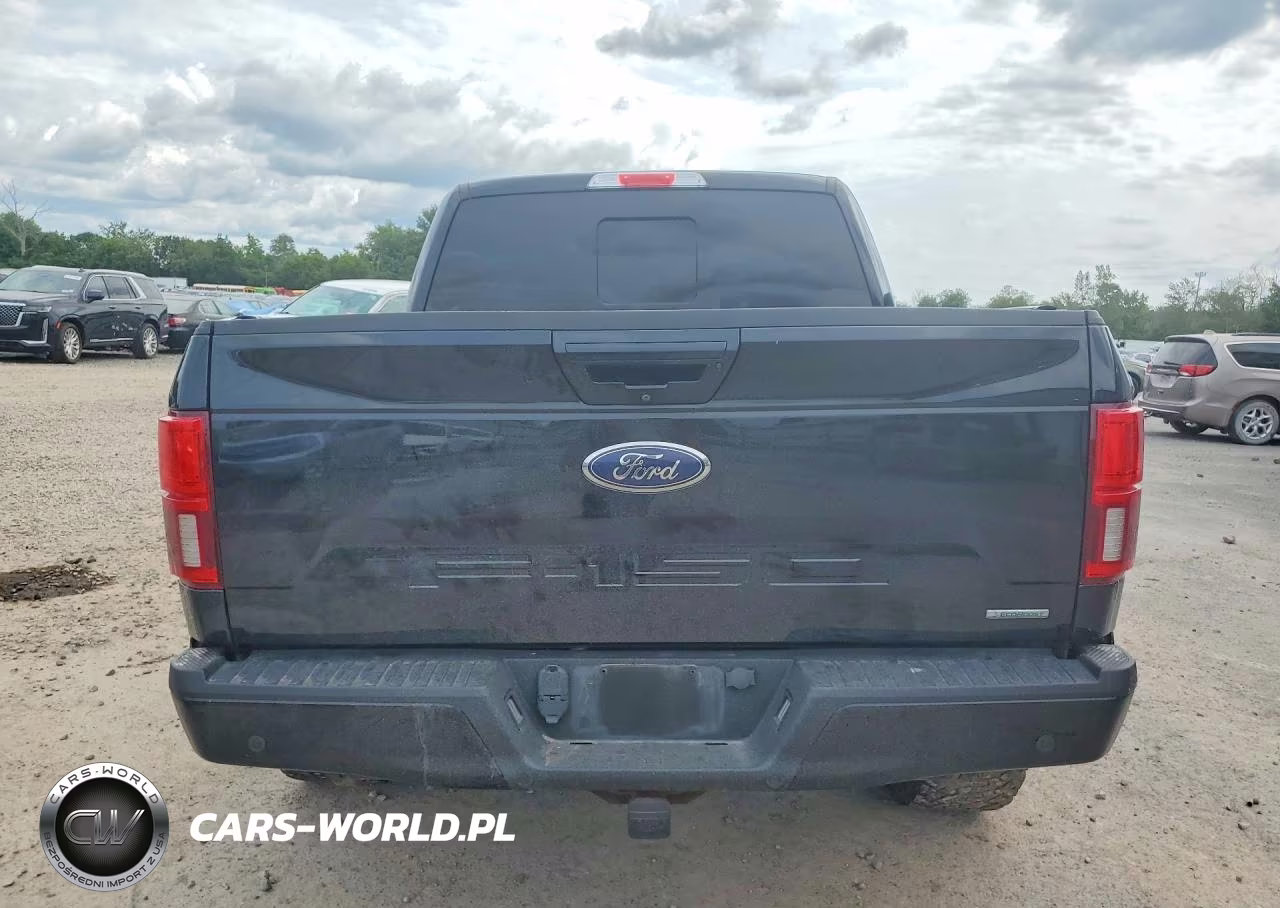 2019 Ford F150 Supercrew VIN:1FTEW1EP0KFB92231 - 6